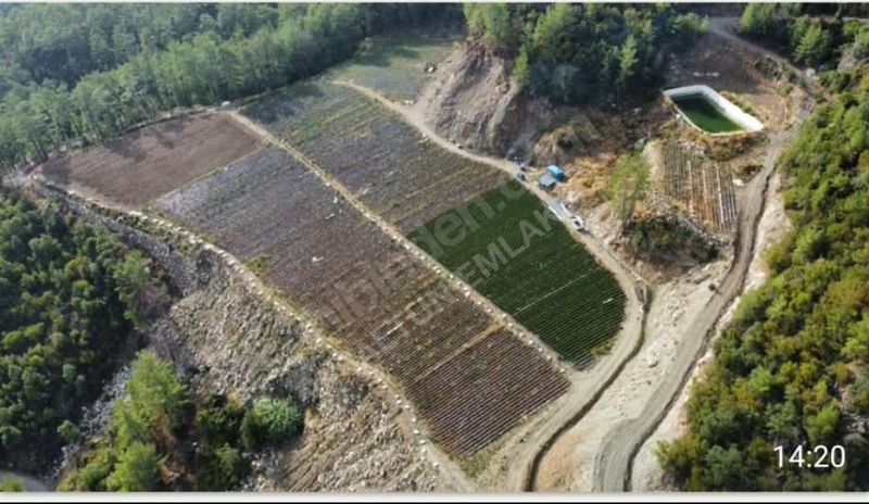 Altun Emlaktan Satılık Anamurda Masrafsız Büyük Tarım Arazisi — fotoğraf 3