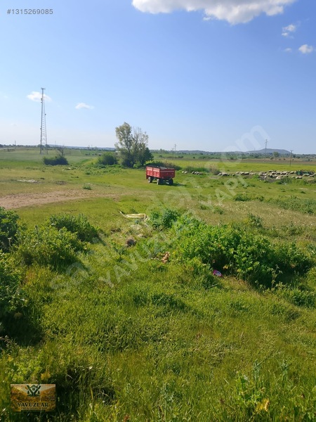 Kayalı'da 3 Bölünebilir İmarlı Arsa Çok Uygun Fiyata 3720 M²acil — fotoğraf 15