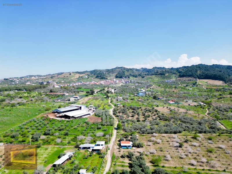 Manisa Turgutlu Yaylada Satılık 6.750 M2 Tarla