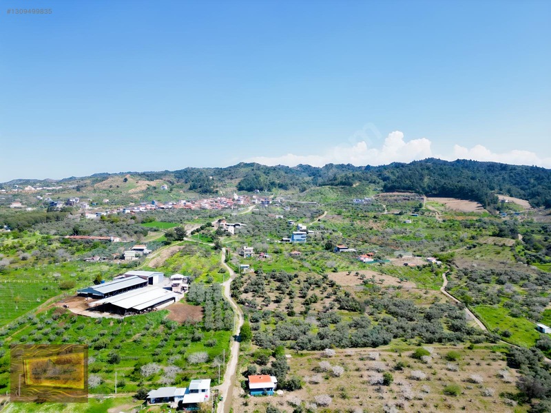 Manisa Turgutlu Yaylada Satılık 6.750 M2 Tarla — fotoğraf 2