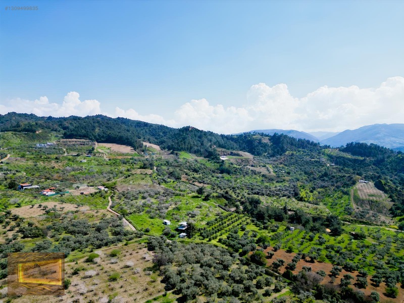 Manisa Turgutlu Yaylada Satılık 6.750 M2 Tarla — fotoğraf 3