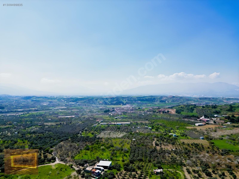 Manisa Turgutlu Yaylada Satılık 6.750 M2 Tarla — fotoğraf 4