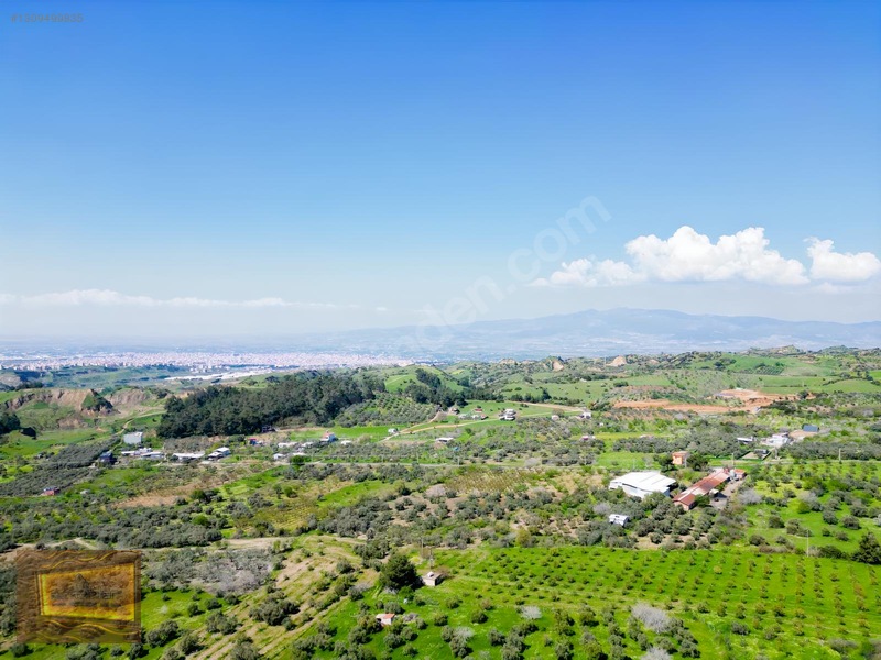 Manisa Turgutlu Yaylada Satılık 6.750 M2 Tarla — fotoğraf 6