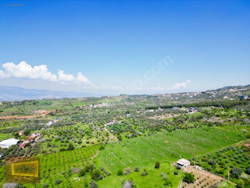 Manisa Turgutlu Yaylada Satılık 6.750 M2 Tarla — fotoğraf 7