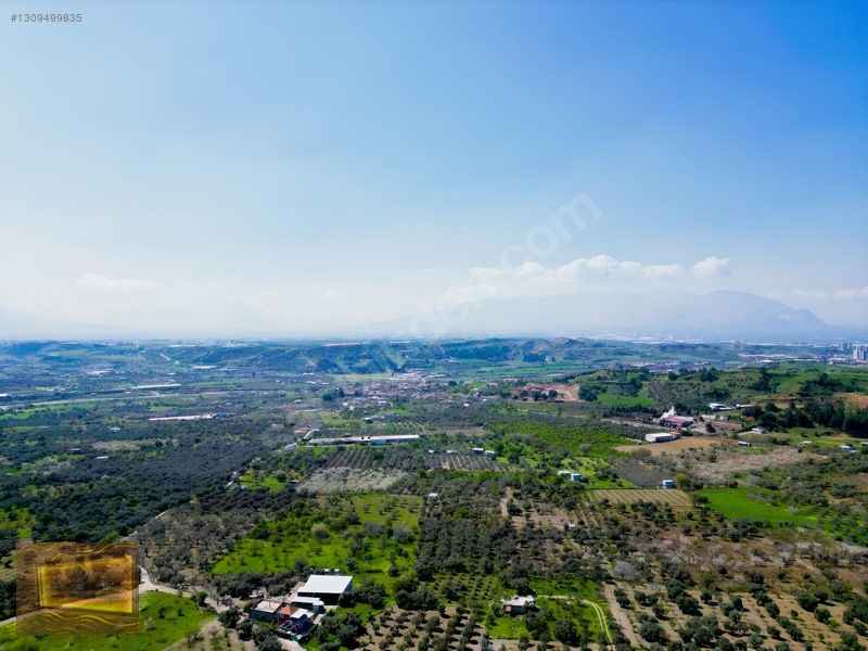 Manisa Turgutlu Yaylada Satılık 6.750 M2 Tarla — fotoğraf 9