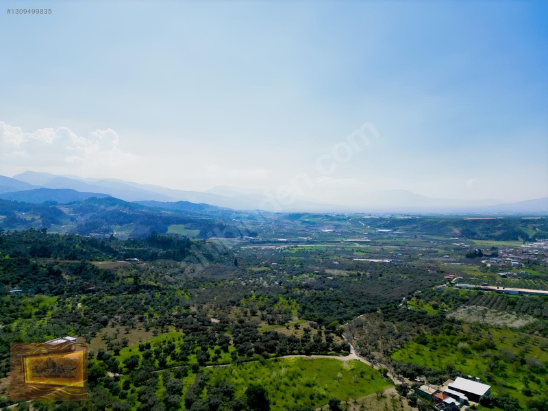 Manisa Turgutlu Yaylada Satılık 6.750 M2 Tarla — fotoğraf 10
