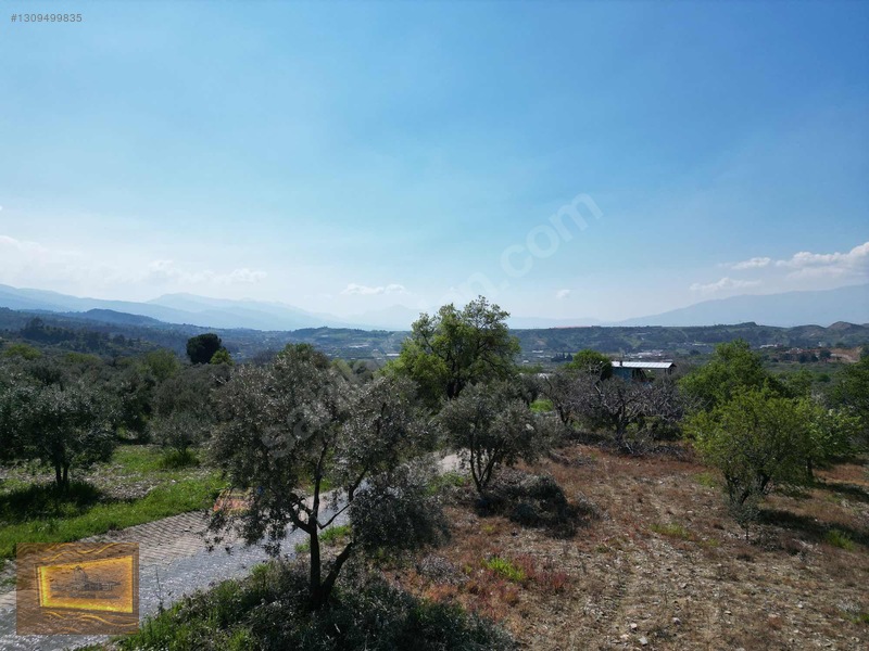 Manisa Turgutlu Yaylada Satılık 6.750 M2 Tarla — fotoğraf 13