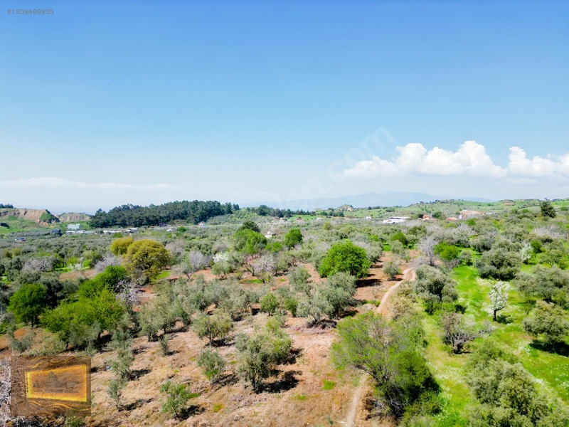 Manisa Turgutlu Yaylada Satılık 6.750 M2 Tarla — fotoğraf 14