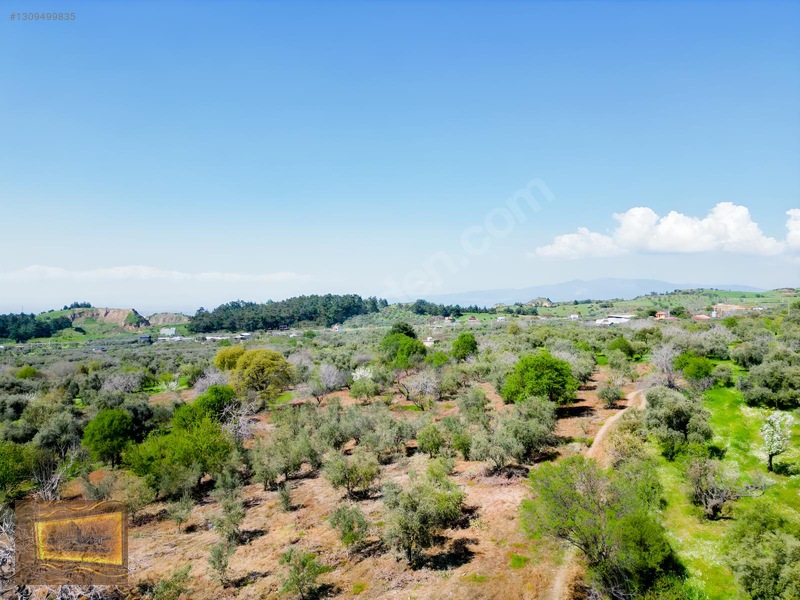 Manisa Turgutlu Yaylada Satılık 6.750 M2 Tarla — fotoğraf 15