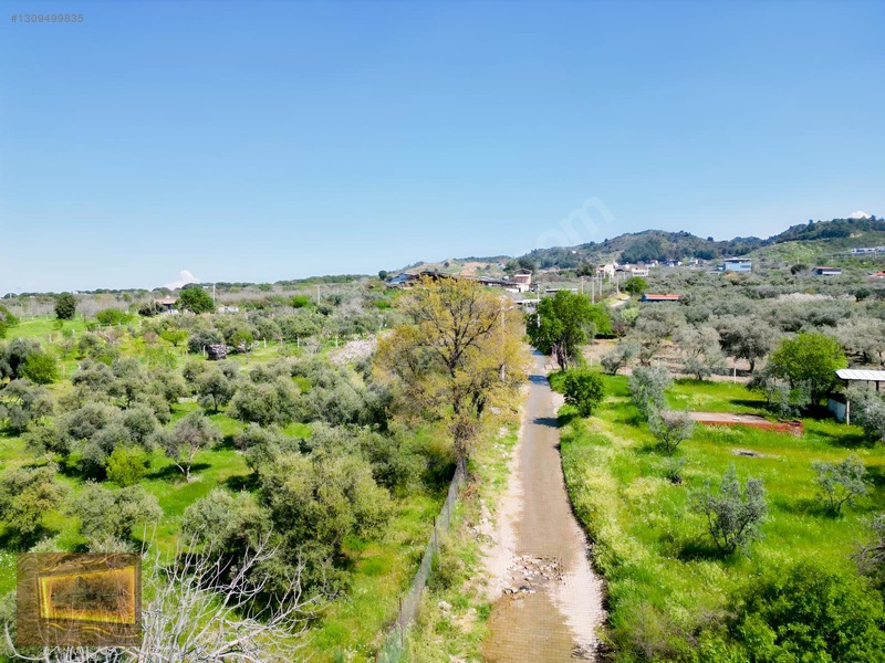 Manisa Turgutlu Yaylada Satılık 6.750 M2 Tarla — fotoğraf 16