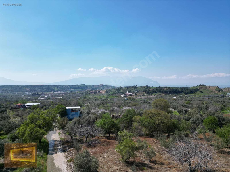 Manisa Turgutlu Yaylada Satılık 6.750 M2 Tarla — fotoğraf 17