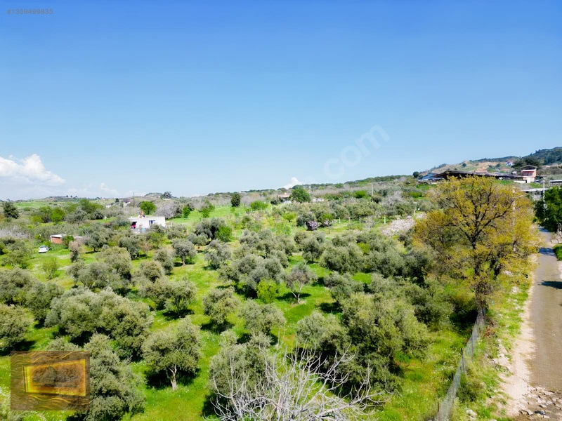 Manisa Turgutlu Yaylada Satılık 6.750 M2 Tarla — fotoğraf 18