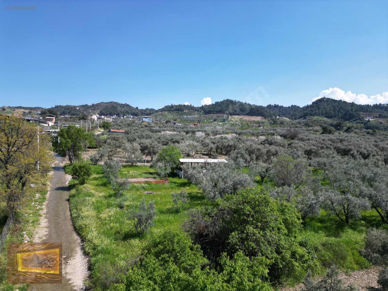 Manisa Turgutlu Yaylada Satılık 6.750 M2 Tarla — fotoğraf 19