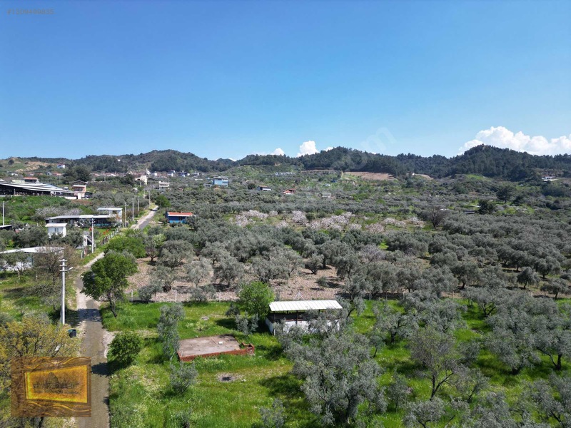 Manisa Turgutlu Yaylada Satılık 6.750 M2 Tarla — fotoğraf 20