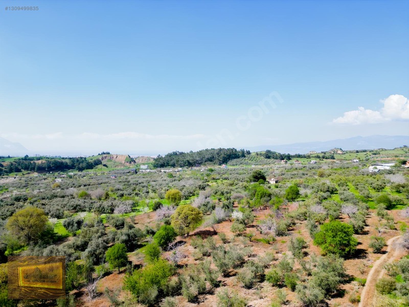 Manisa Turgutlu Yaylada Satılık 6.750 M2 Tarla — fotoğraf 21