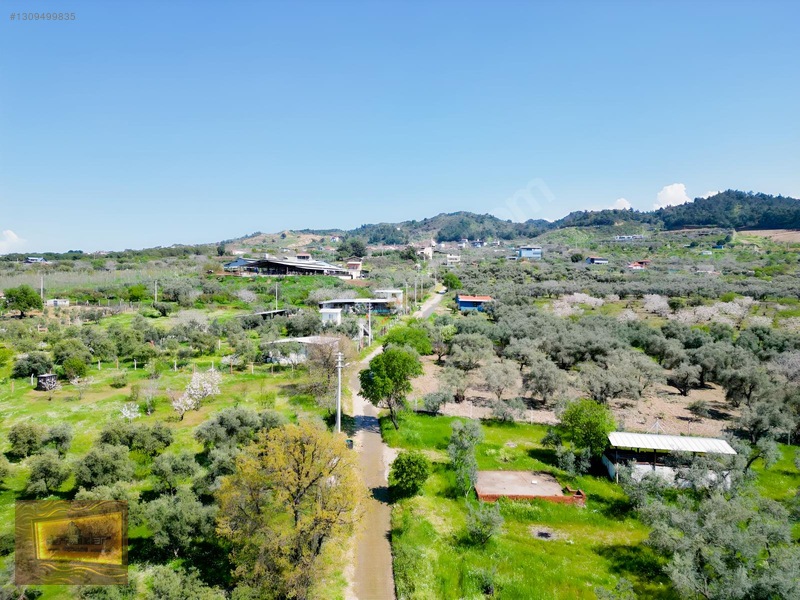 Manisa Turgutlu Yaylada Satılık 6.750 M2 Tarla — fotoğraf 22