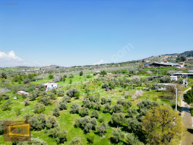 Manisa Turgutlu Yaylada Satılık 6.750 M2 Tarla — fotoğraf 23