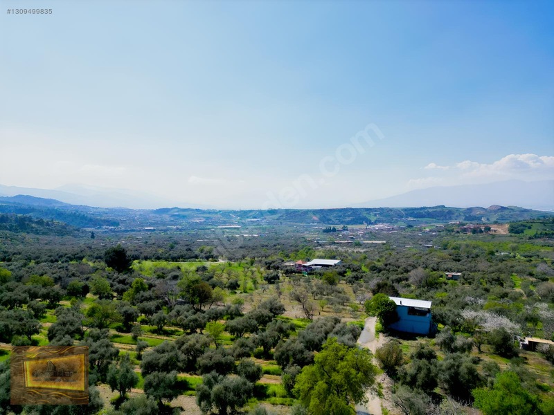 Manisa Turgutlu Yaylada Satılık 6.750 M2 Tarla — fotoğraf 24