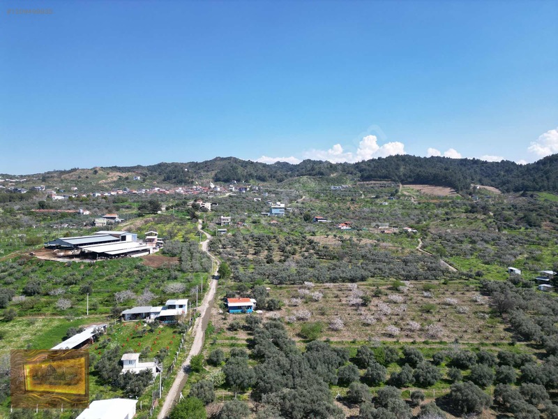 Manisa Turgutlu Yaylada Satılık 6.750 M2 Tarla — fotoğraf 26