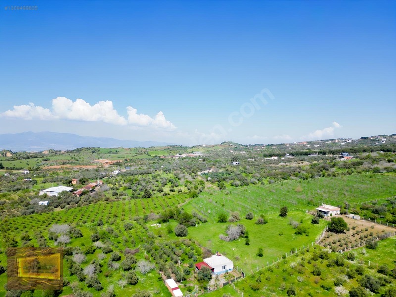 Manisa Turgutlu Yaylada Satılık 6.750 M2 Tarla — fotoğraf 27