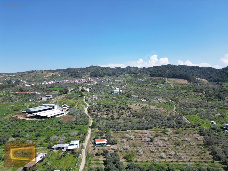 Manisa Turgutlu Yaylada Satılık 6.750 M2 Tarla — fotoğraf 28