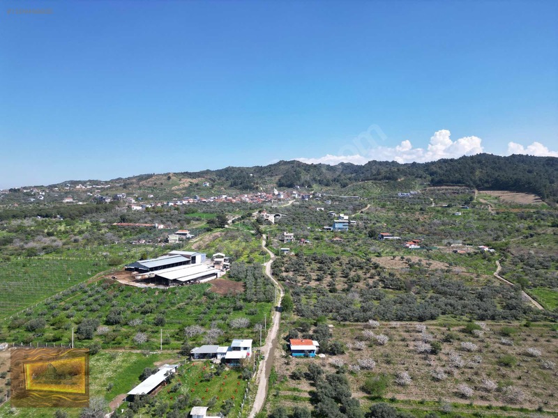 Manisa Turgutlu Yaylada Satılık 6.750 M2 Tarla — fotoğraf 29