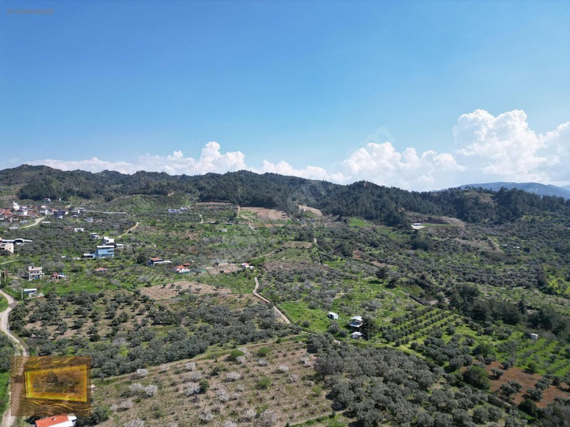 Manisa Turgutlu Yaylada Satılık 6.750 M2 Tarla — fotoğraf 34