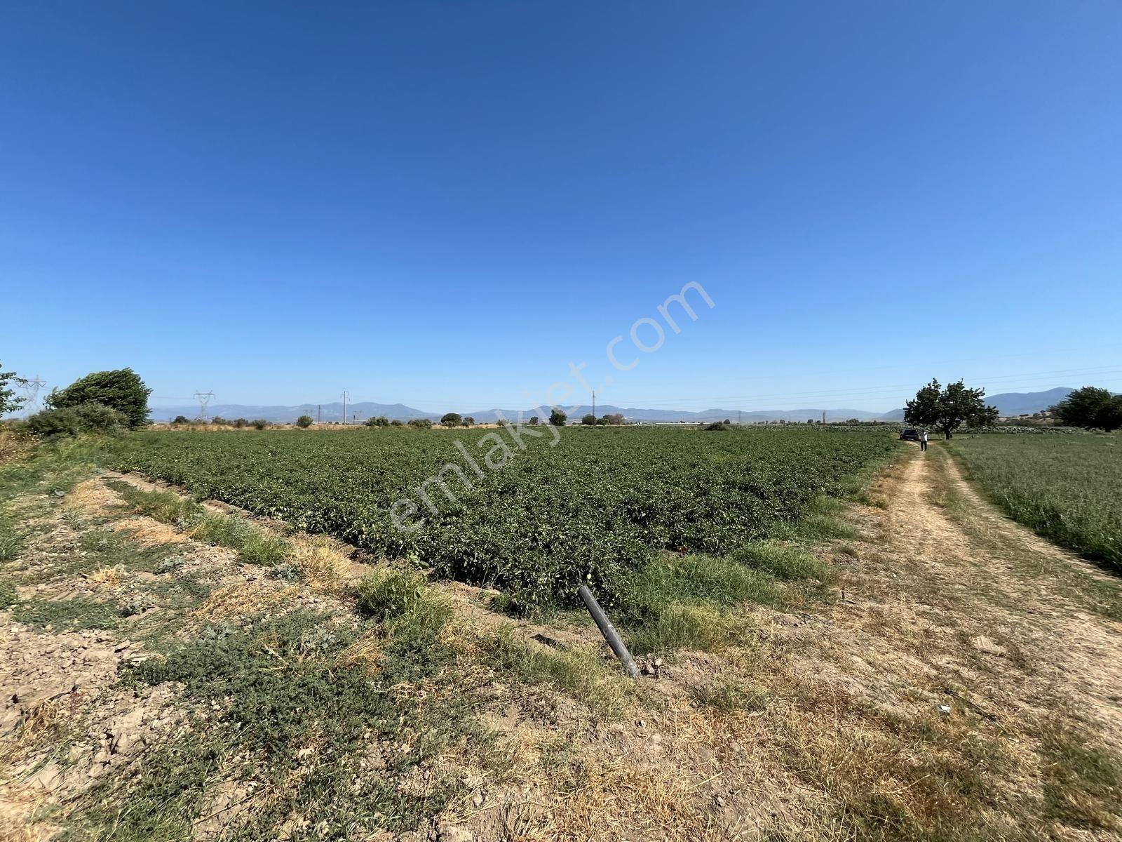 Lenora Gayrimenkül'den Bayındır 15.143.21 M2 Satılık Tarla — fotoğraf 2