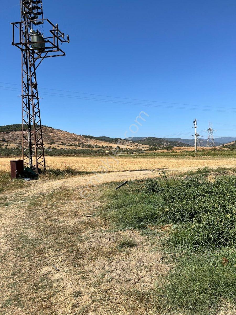 Lenora Gayrimenkül'den Bayındır 15.143.21 M2 Satılık Tarla — fotoğraf 3