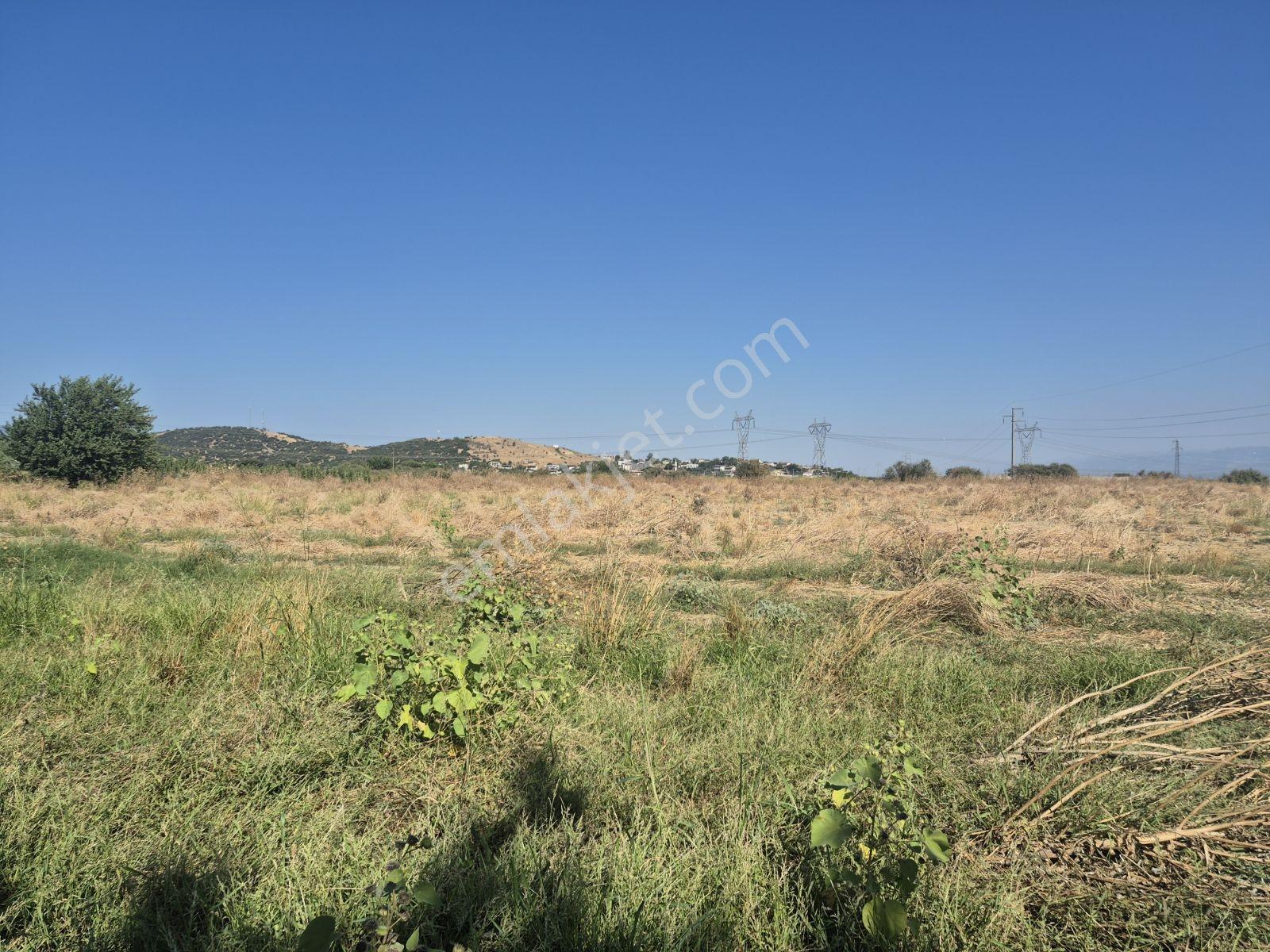 Lenora Gayrimenkül'den Bayındır 15.143.21 M2 Satılık Tarla — fotoğraf 7