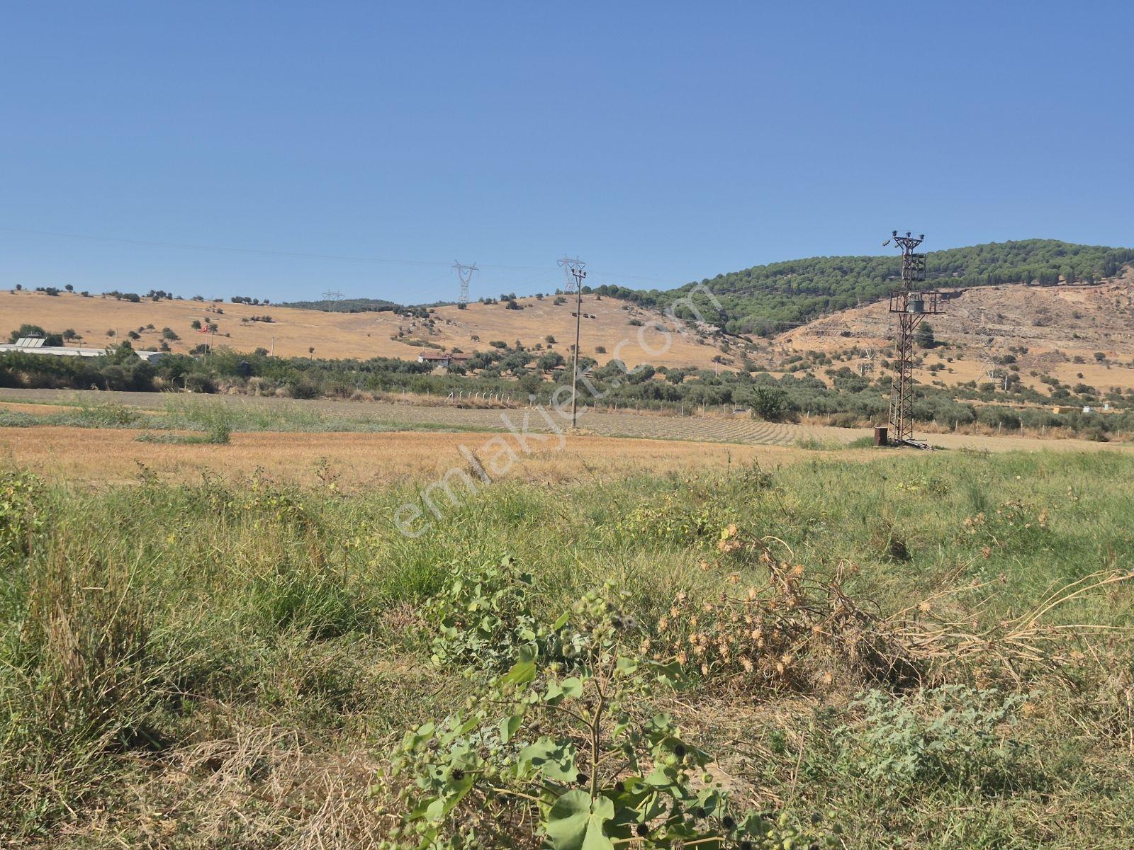 Lenora Gayrimenkül'den Bayındır 15.143.21 M2 Satılık Tarla — fotoğraf 8