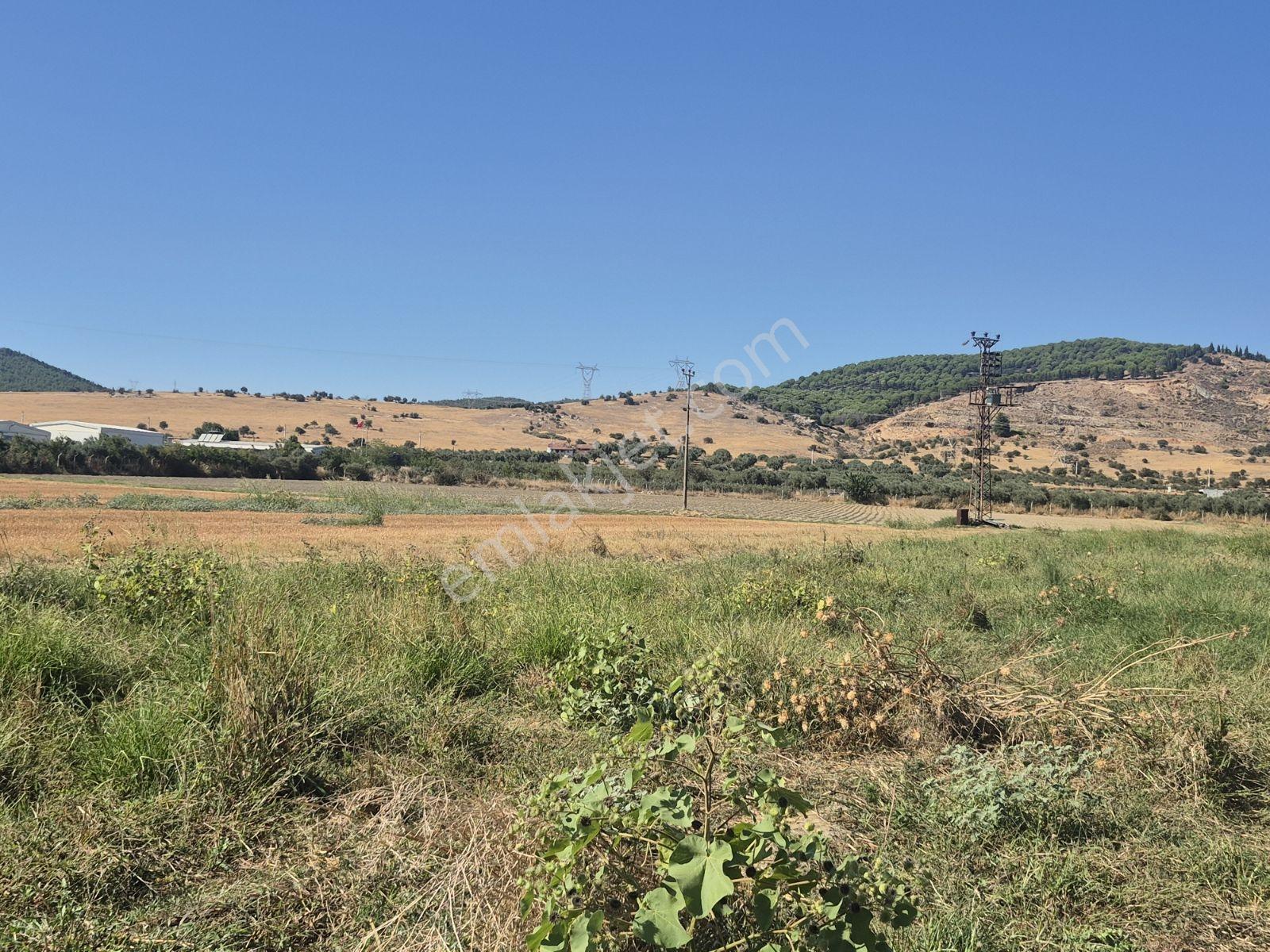Lenora Gayrimenkül'den Bayındır 15.143.21 M2 Satılık Tarla — fotoğraf 9
