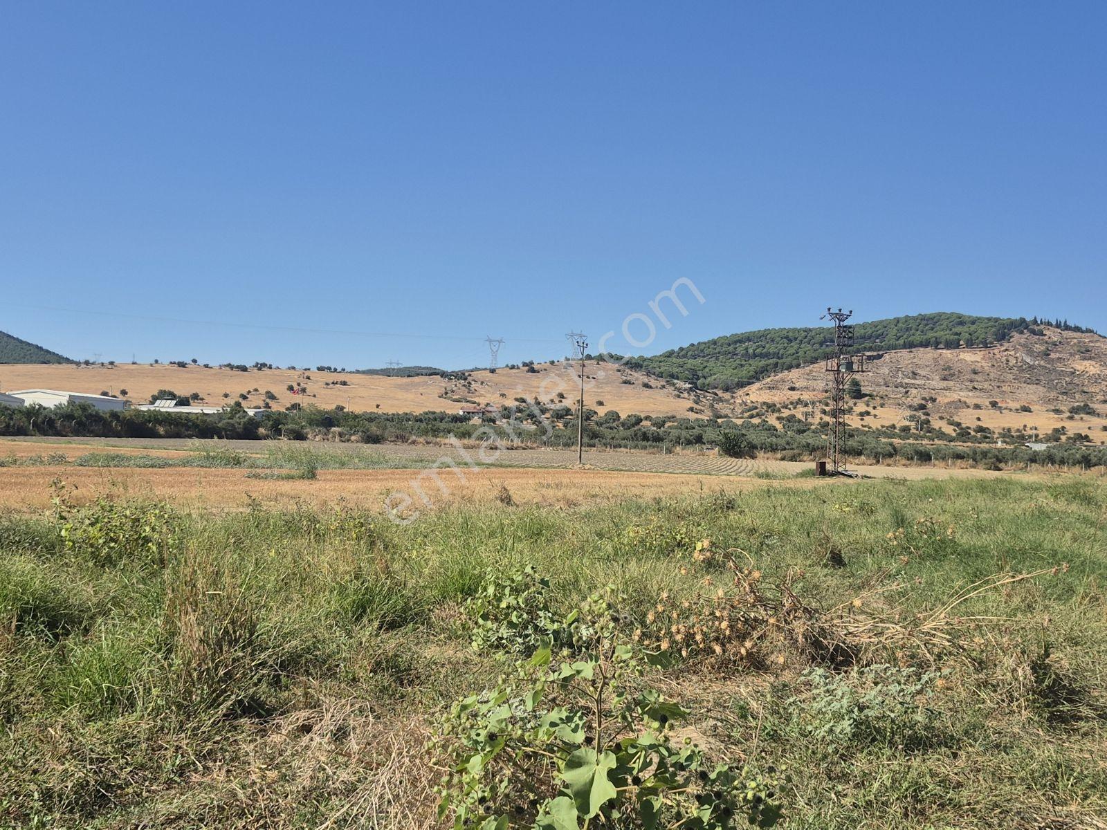 Lenora Gayrimenkül'den Bayındır 15.143.21 M2 Satılık Tarla — fotoğraf 10