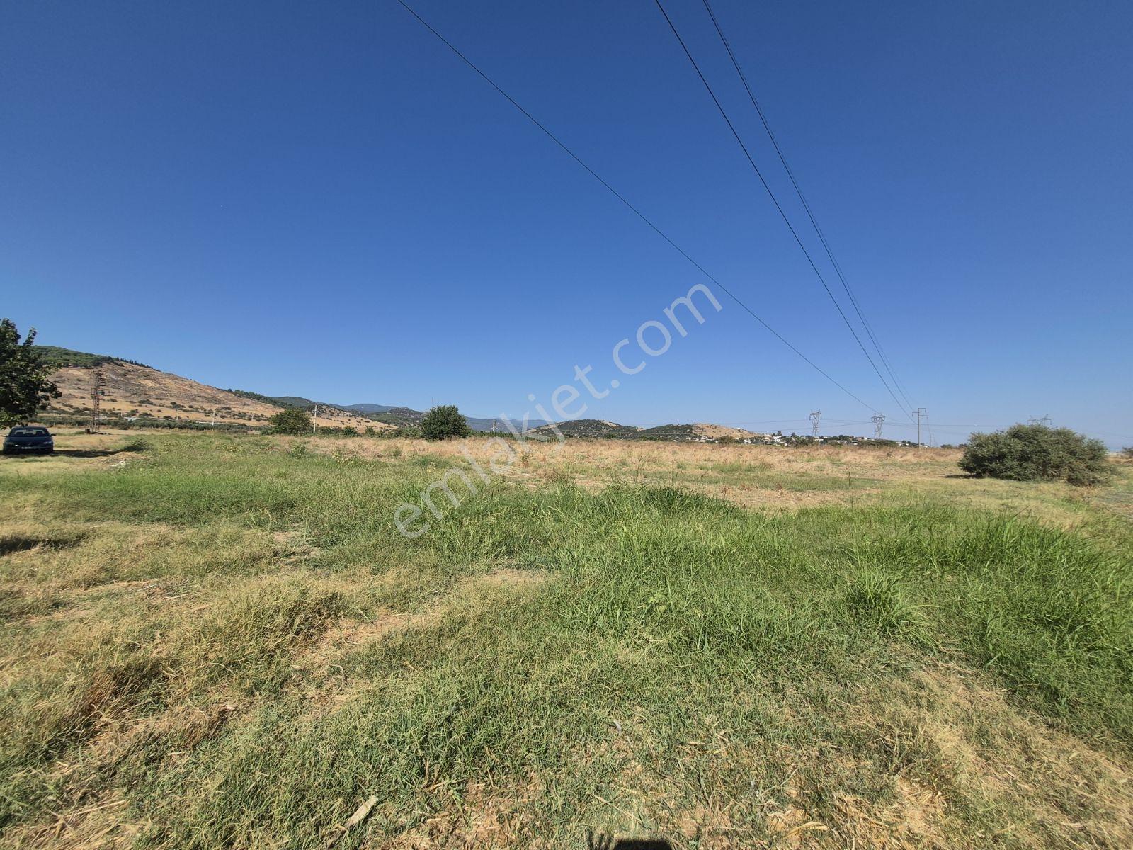 Lenora Gayrimenkül'den Bayındır 15.143.21 M2 Satılık Tarla — fotoğraf 11