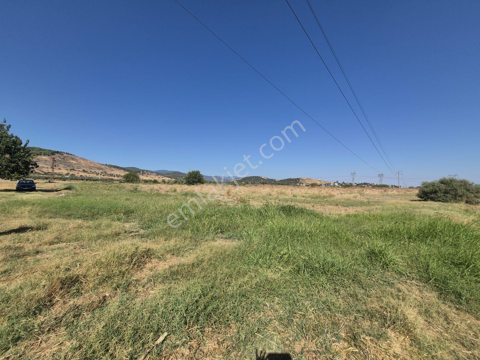 Lenora Gayrimenkül'den Bayındır 15.143.21 M2 Satılık Tarla — fotoğraf 12