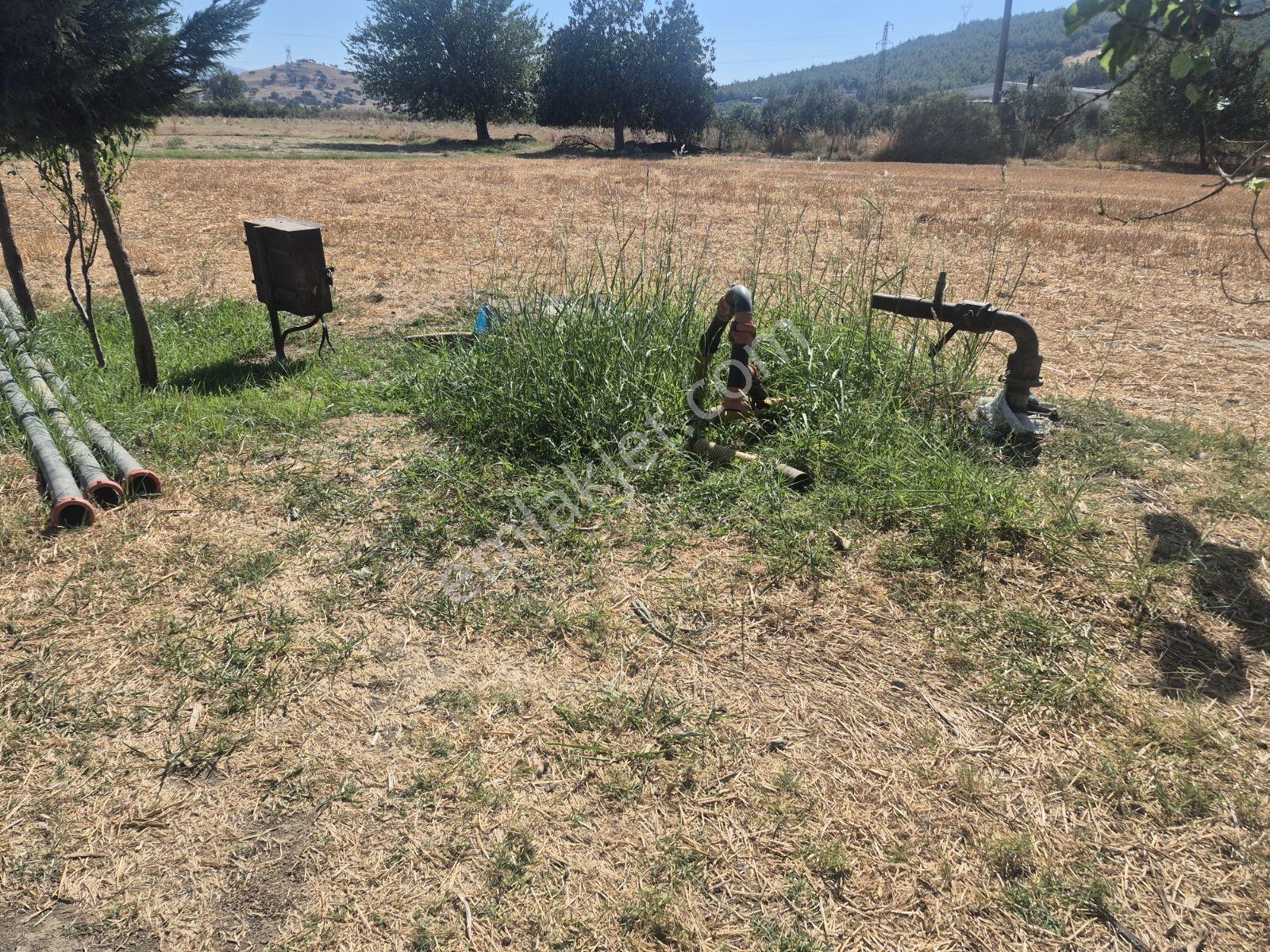 Lenora Gayrimenkül'den Bayındır 15.143.21 M2 Satılık Tarla — fotoğraf 14