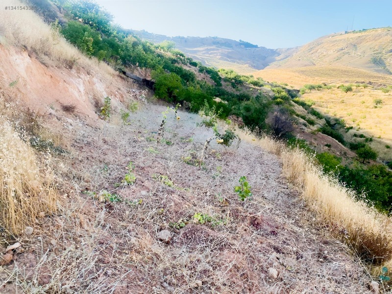 Zirve Emlak'tan Merkeze Yakın Bağ — fotoğraf 5