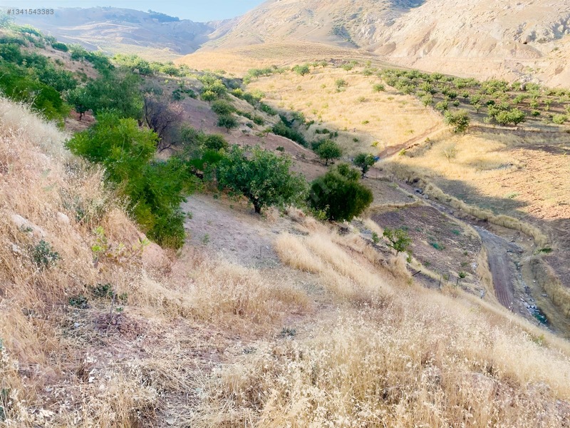 Zirve Emlak'tan Merkeze Yakın Bağ — fotoğraf 6