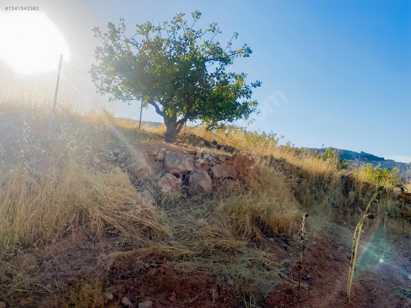 Zirve Emlak'tan Merkeze Yakın Bağ — fotoğraf 7