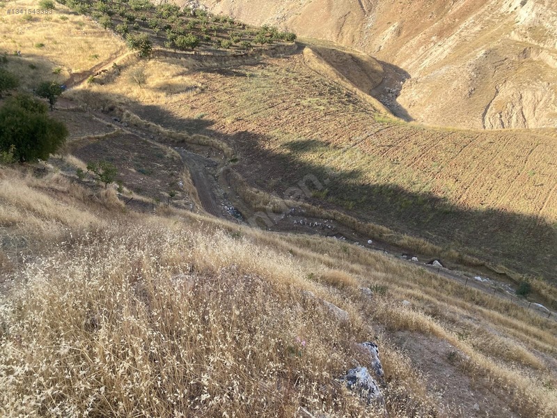 Zirve Emlak'tan Merkeze Yakın Bağ — fotoğraf 9