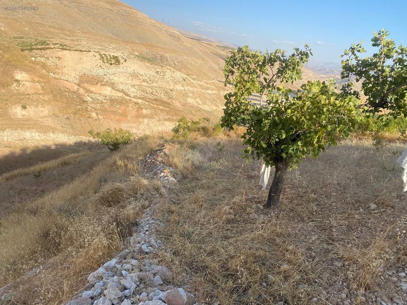 Zirve Emlak'tan Merkeze Yakın Bağ — fotoğraf 10