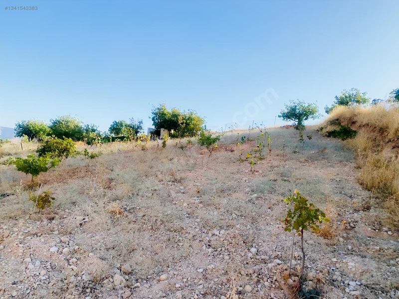 Zirve Emlak'tan Merkeze Yakın Bağ — fotoğraf 12