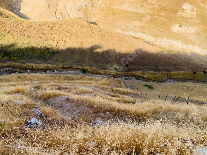 Zirve Emlak'tan Merkeze Yakın Bağ — fotoğraf 14