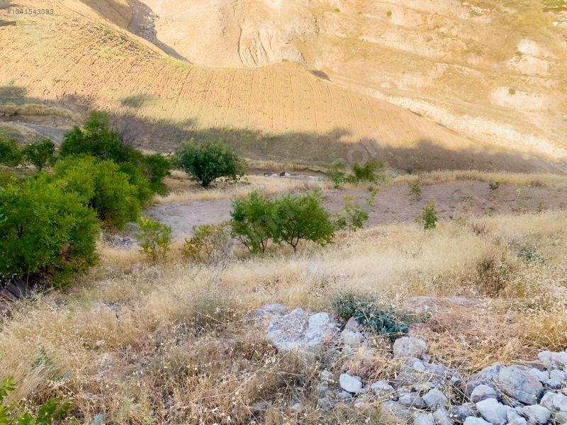 Zirve Emlak'tan Merkeze Yakın Bağ — fotoğraf 15