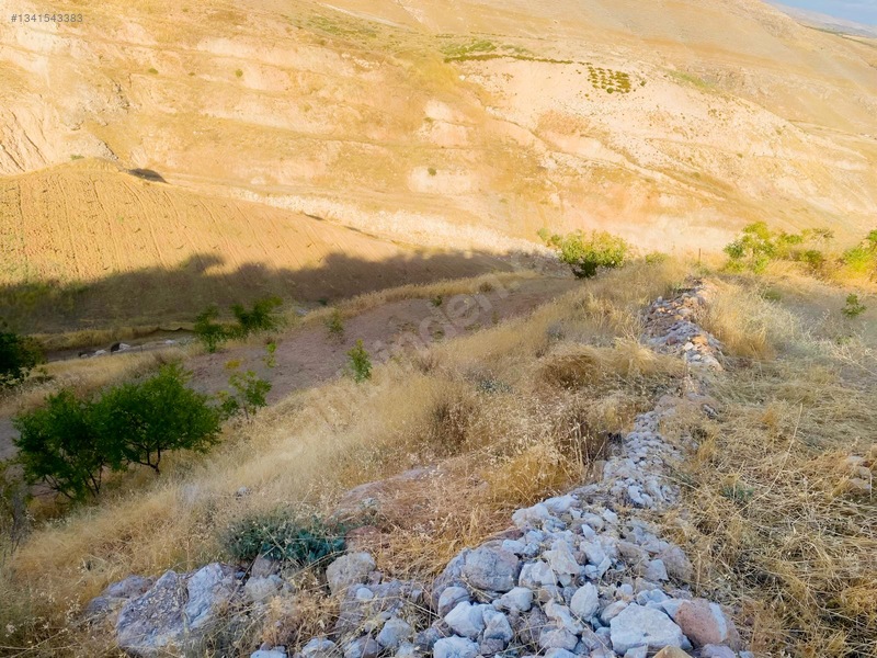 Zirve Emlak'tan Merkeze Yakın Bağ — fotoğraf 16
