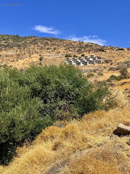Dikili Çandarlı Eyko Da Konuç Plajı Ve Gün Batımı Manzaralı Arsa — fotoğraf 5