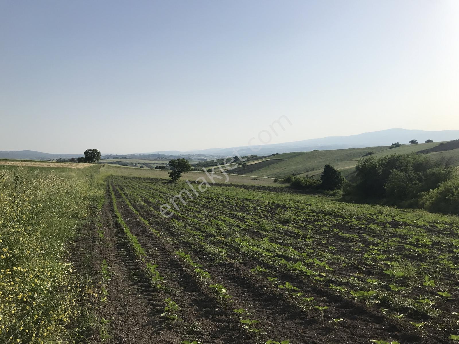 Bursa Mustafakemalpaşa Kosovada 6.920 M² Satılık Arazi