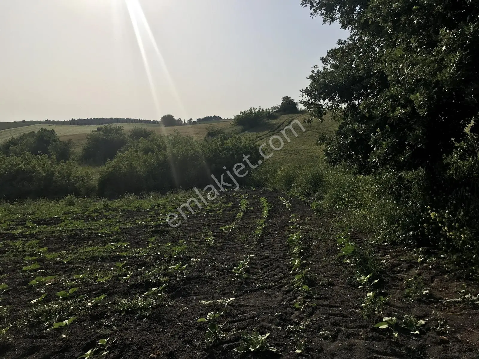 Bursa Mustafakemalpaşa Kosovada 6.920 M² Satılık Arazi — fotoğraf 3
