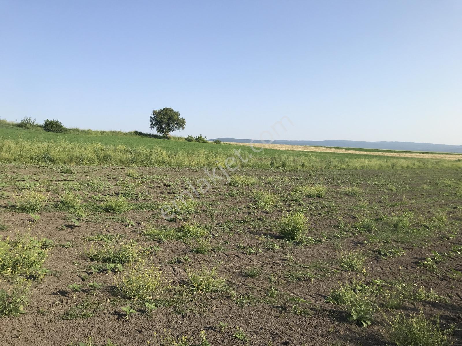 Bursa Mustafakemalpaşa Kosovada 6.920 M² Satılık Arazi — fotoğraf 5