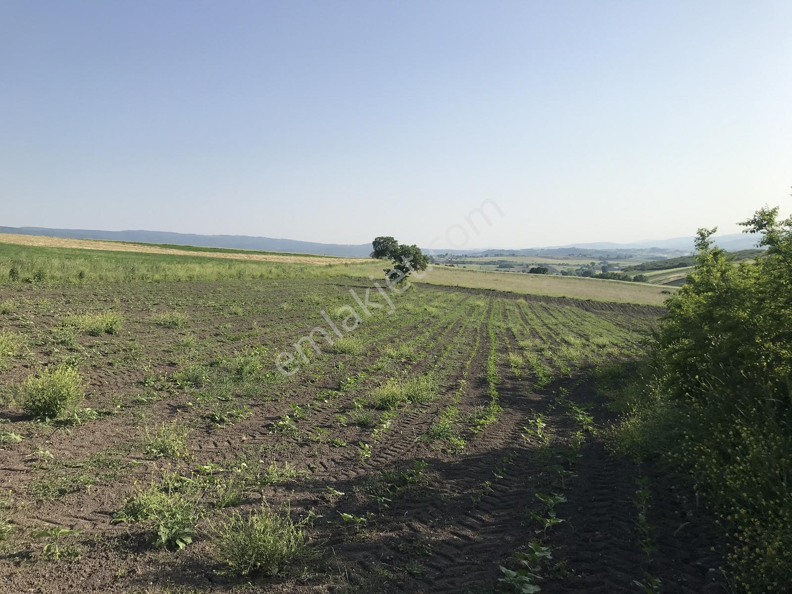 Bursa Mustafakemalpaşa Kosovada 6.920 M² Satılık Arazi — fotoğraf 6